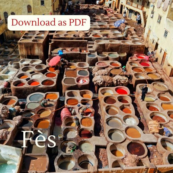 Inspirational Guide to Fès ( Fez)